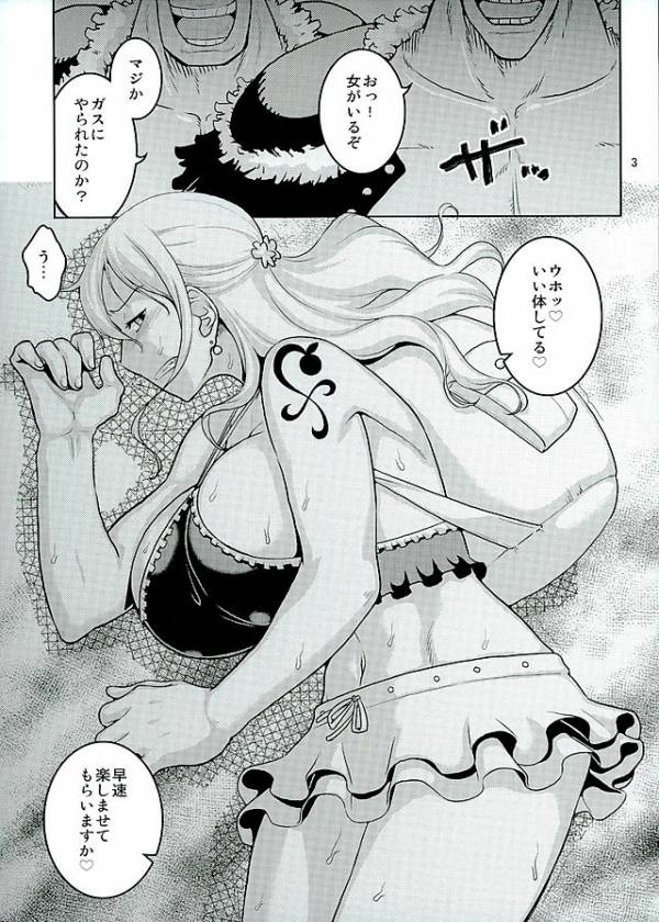 (C90) [ACID-HEAD (Murata.)] Nami no Ura Koukai Nisshi 11 (One Piece) page 2 full