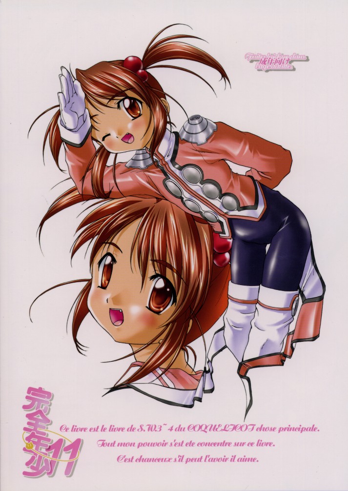 [Studio Rakkyou (Takase Yuu)] Kanzen Nenshou 11 (Sakura Taisen) page 28 full