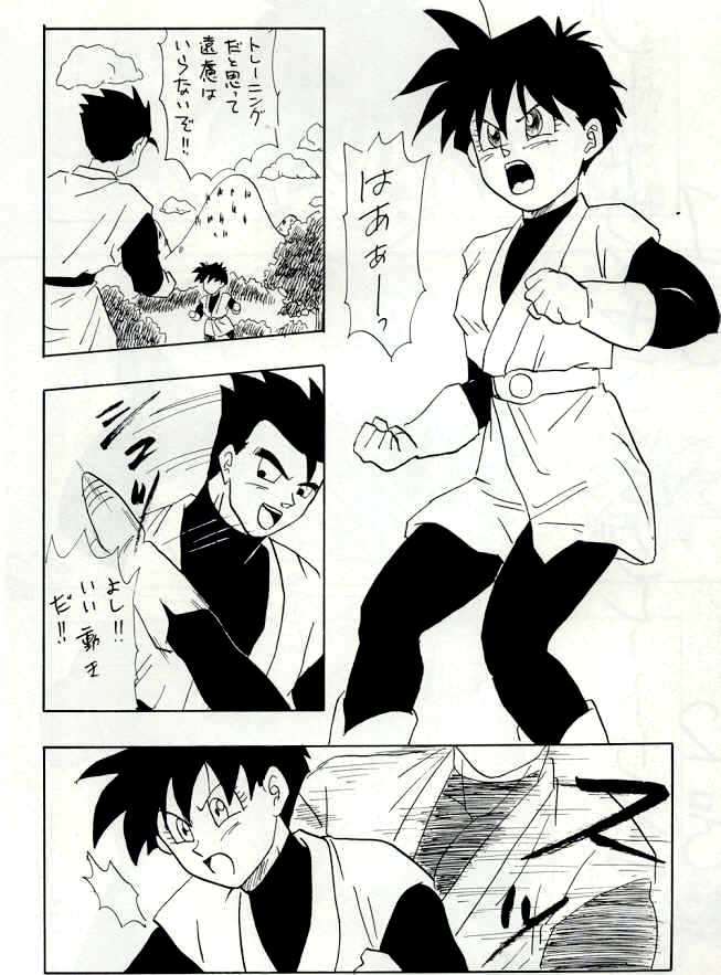 [Chirigami Goya, Fusuma go Ten (Shouji Hariko)] YYY (Dragon Ball) page 22 full