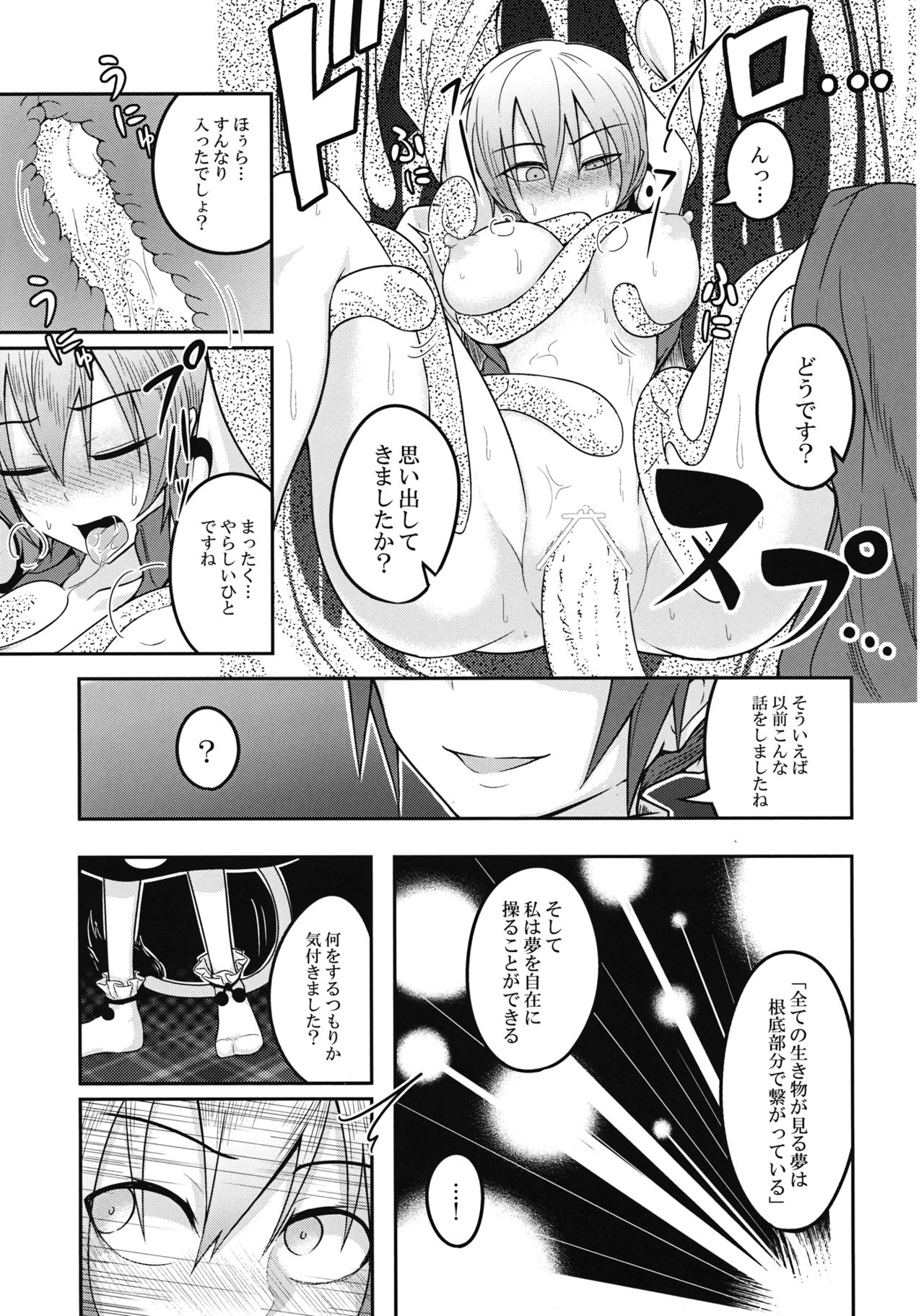 (Meikasai 10) [Lapis Lazuli Kouseki (Kuroha Rapid)] Yume no Torikago (Touhou Project) page 18 full