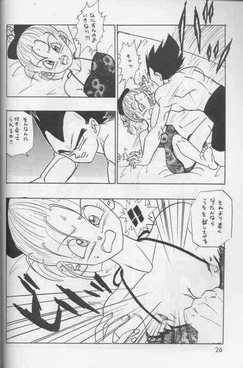 [Dragonball] Okiraku Gokuraku Chou Kairaku page 25 full