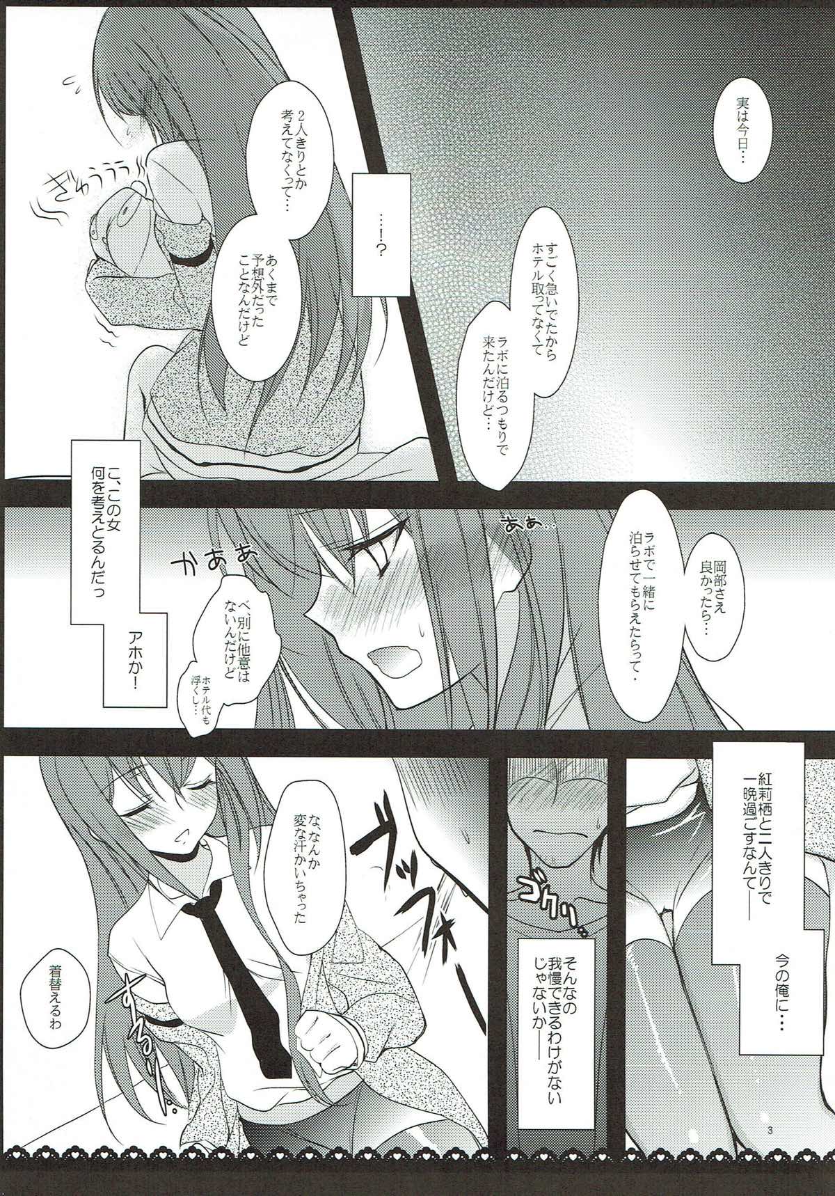 (C81) [Ninokoya (Ninoko)] Holyday and more (Steins;Gate) page 4 full