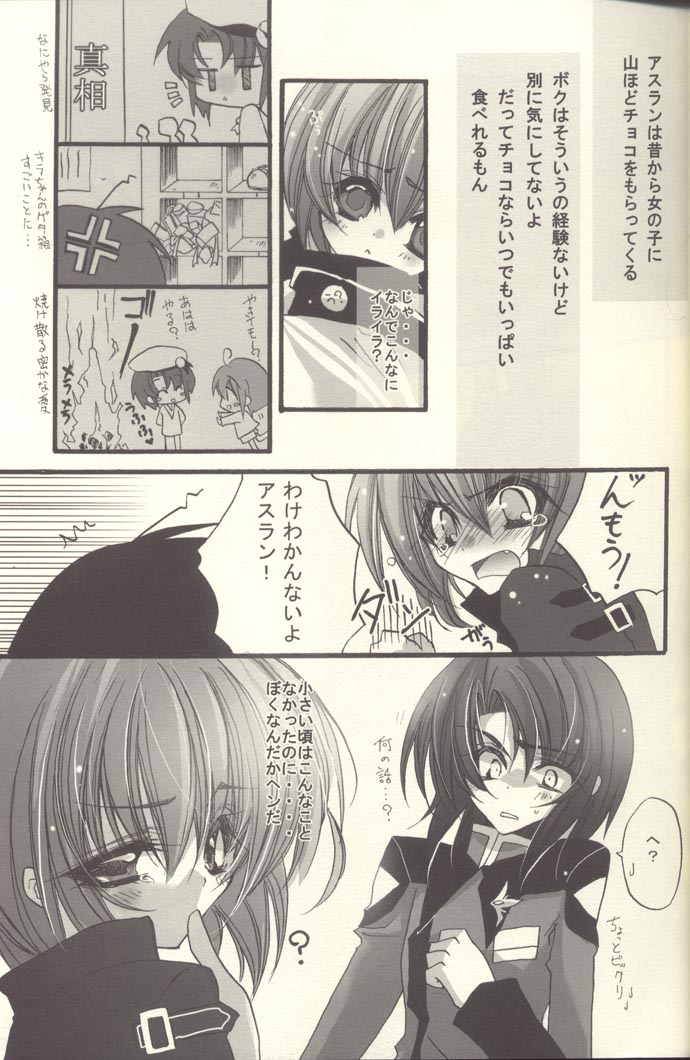 [RIRIADOLL (Takewaka Maru)] Chocolate Time (Mobile Suit Gundam Seed Destiny) page 10 full