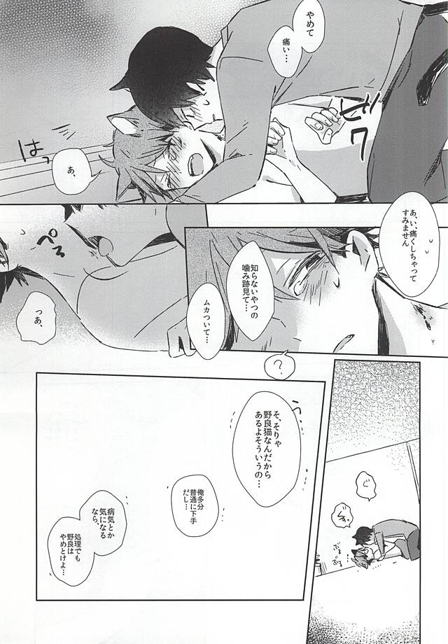 (RTS!!5) [Shounen-H (Yuuki)] Neko ni Natta Oikawa-san (Haikyuu!!) page 22 full