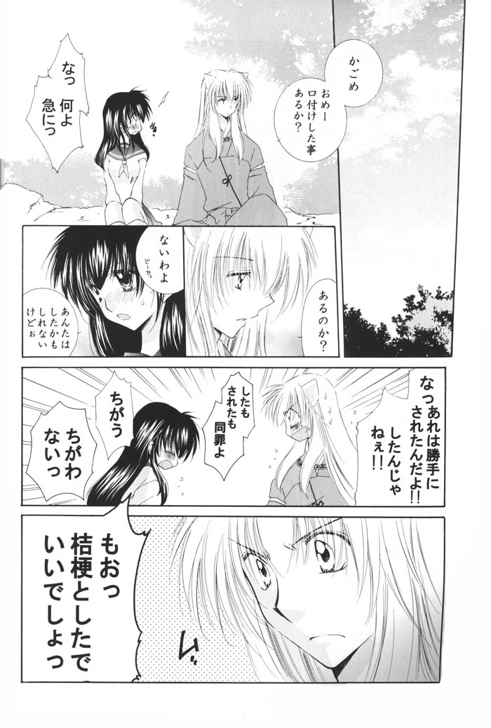 (C69) [Sakurakan (Seriou Sakura)] Hoshi no furitsumoru yoru ni (Inuyasha) page 30 full