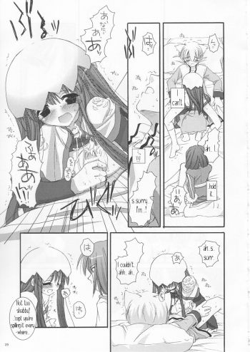 (C64) [Digital Lover (Nakajima Yuka)] D.L. action 19 (Ragnarok Online) [English] [Himeyasha] - page 25
