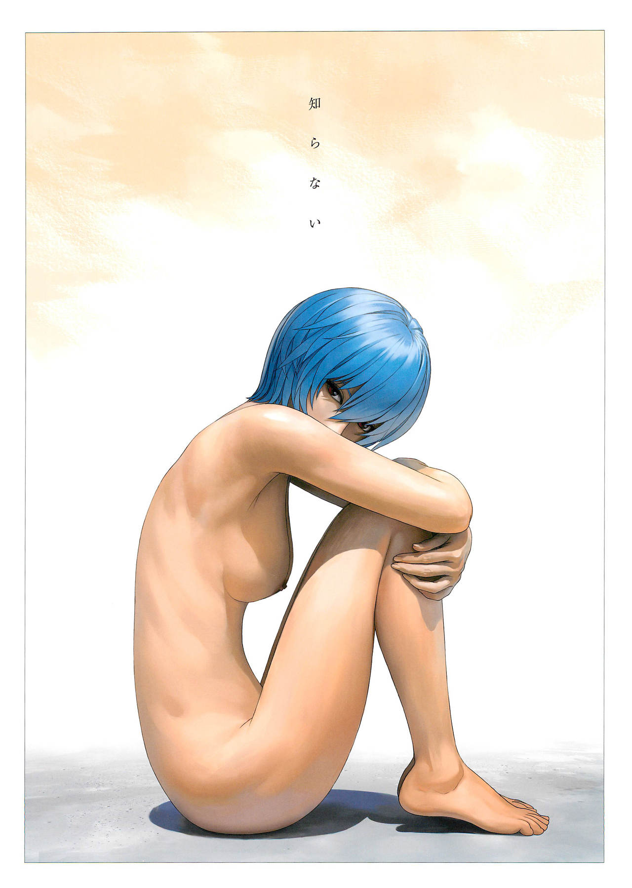 (C97) [Castlism (Norve Watanabe)] SENSUAL Vol.17 EVA GIRLS ILLUSTRATIONS 6 (Neon Genesis Evangelion) page 12 full