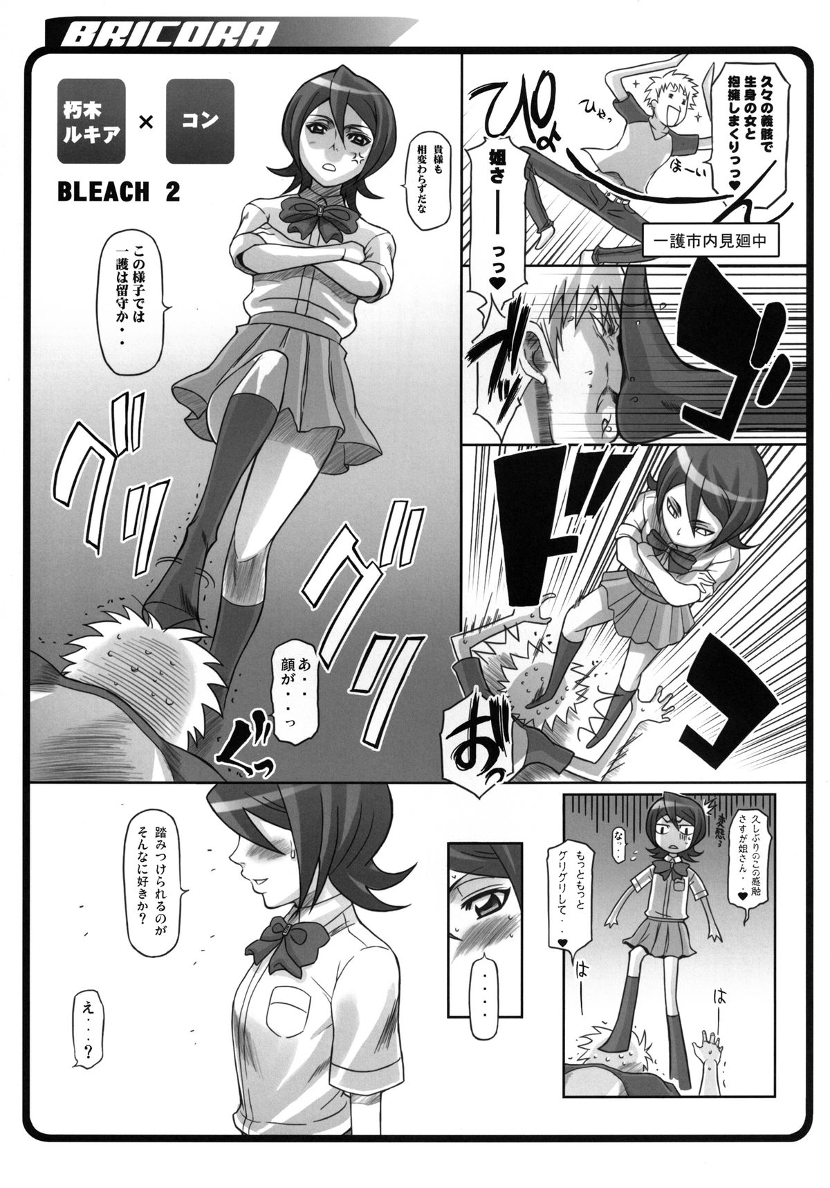 (C81) [Diogenes Club (Haikawa Hemlen)] BRICOLA Soushuuhen (BLEACH) [Digital] page 10 full