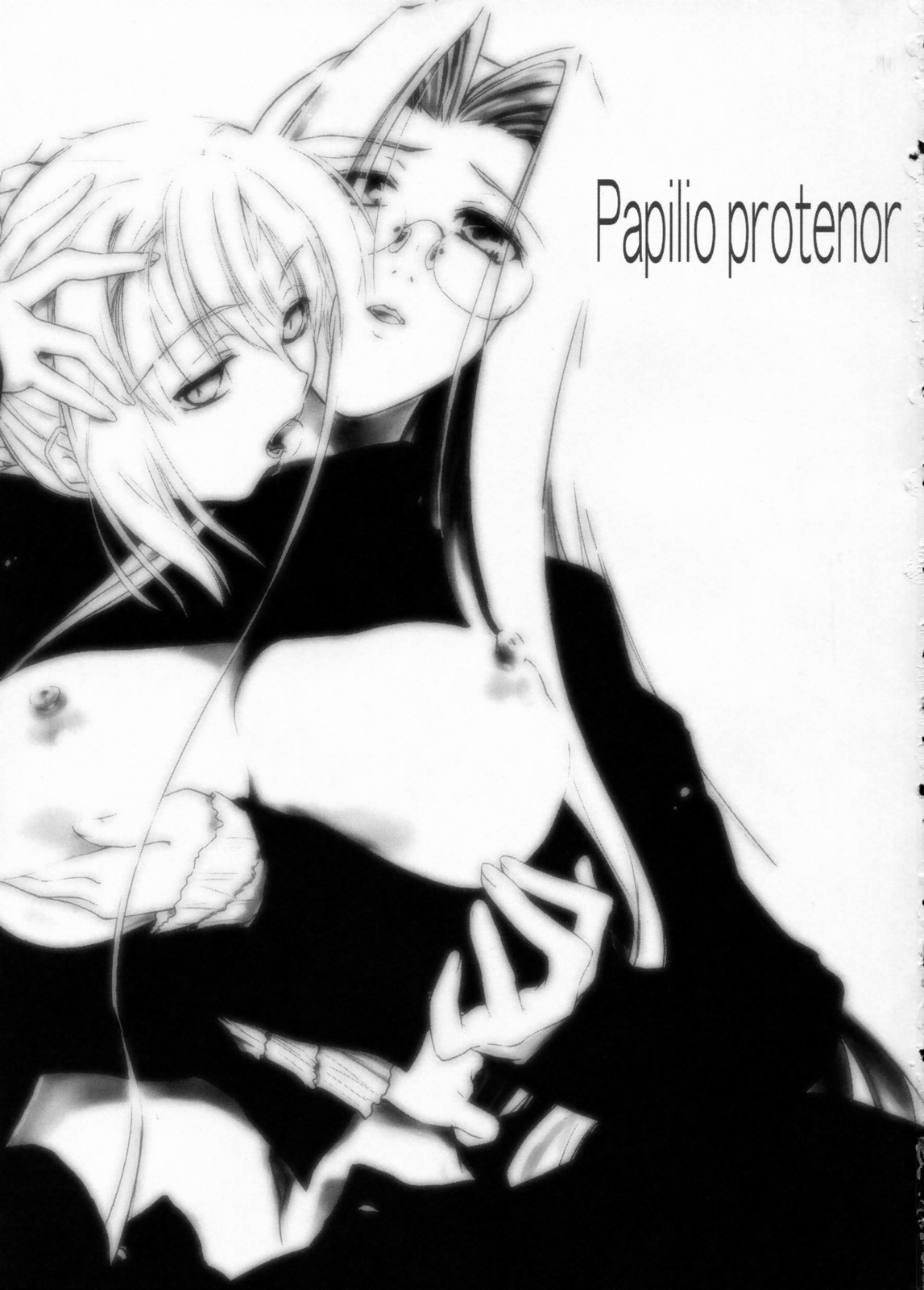 (C71) [Shimoyakedou (Ouma Tokiichi)] Papilio Protenor (Fate/stay night) page 2 full