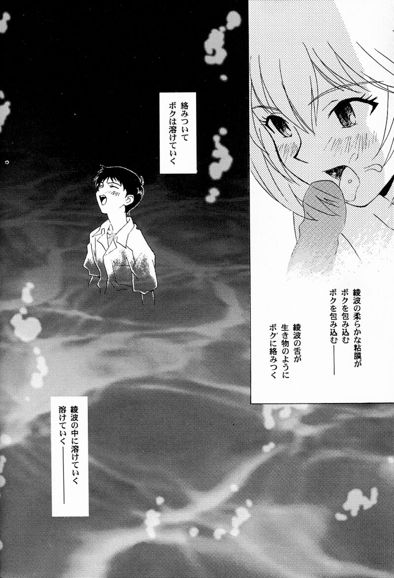 (C50) [Rocket Kyoudai (Various)] BANDAGE-00 Vol. 2 (Neon Genesis Evangelion) page 17 full