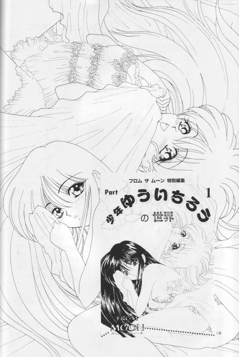 (CR17) [Urawa Anime Festa (Various)] Mizu no Kairou (Bishoujo Senshi Sailor Moon) page 17 full
