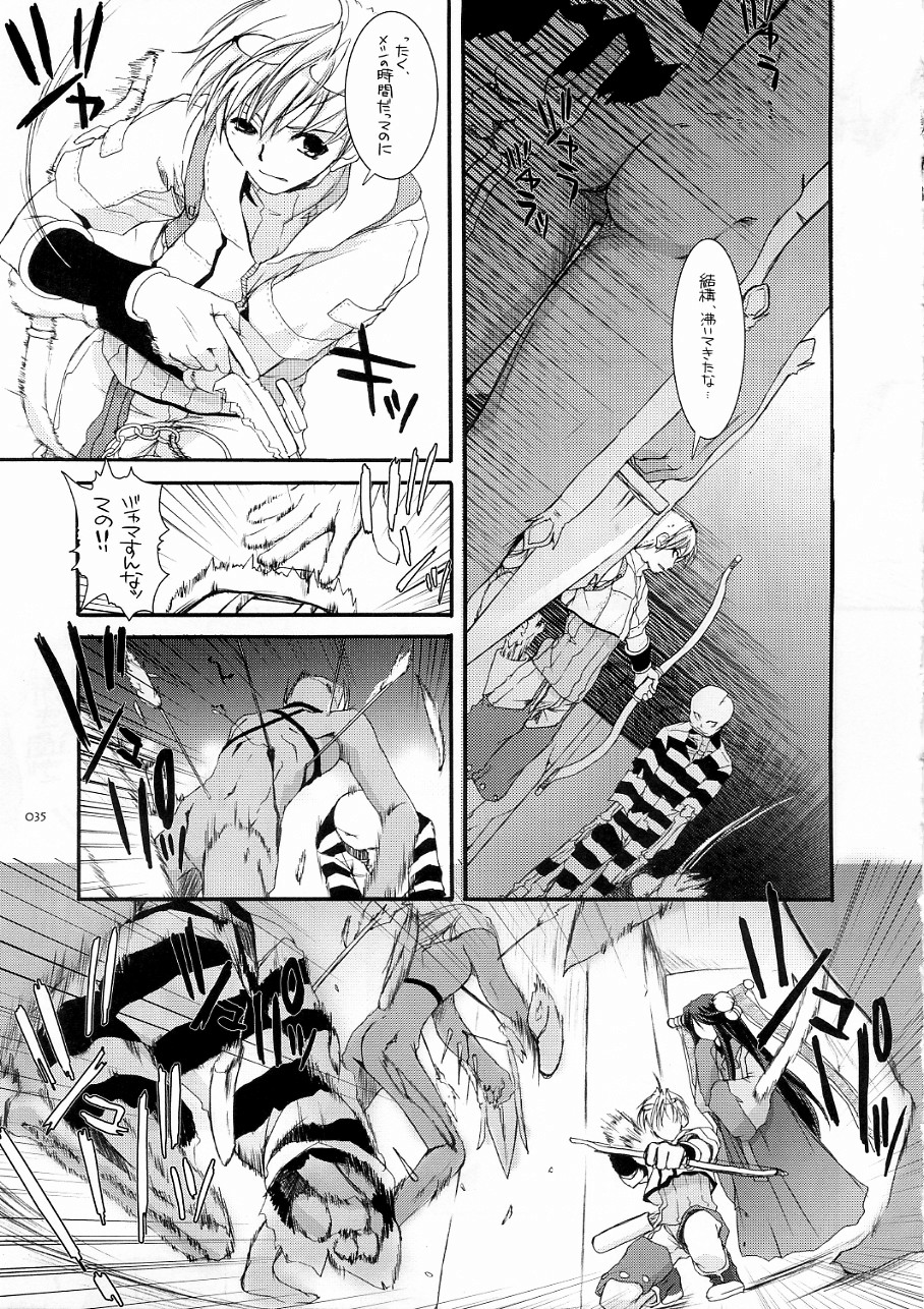[Digital Lover] DL-RO Soushuuhen 3 (Ragnarok Online) page 34 full