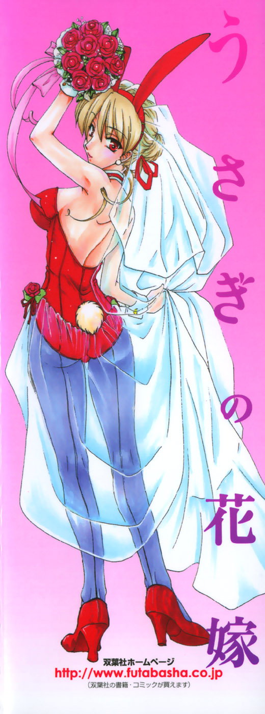 [Kurokawa Mio] Usagi no Hanayome - Rabbit Bride page 4 full