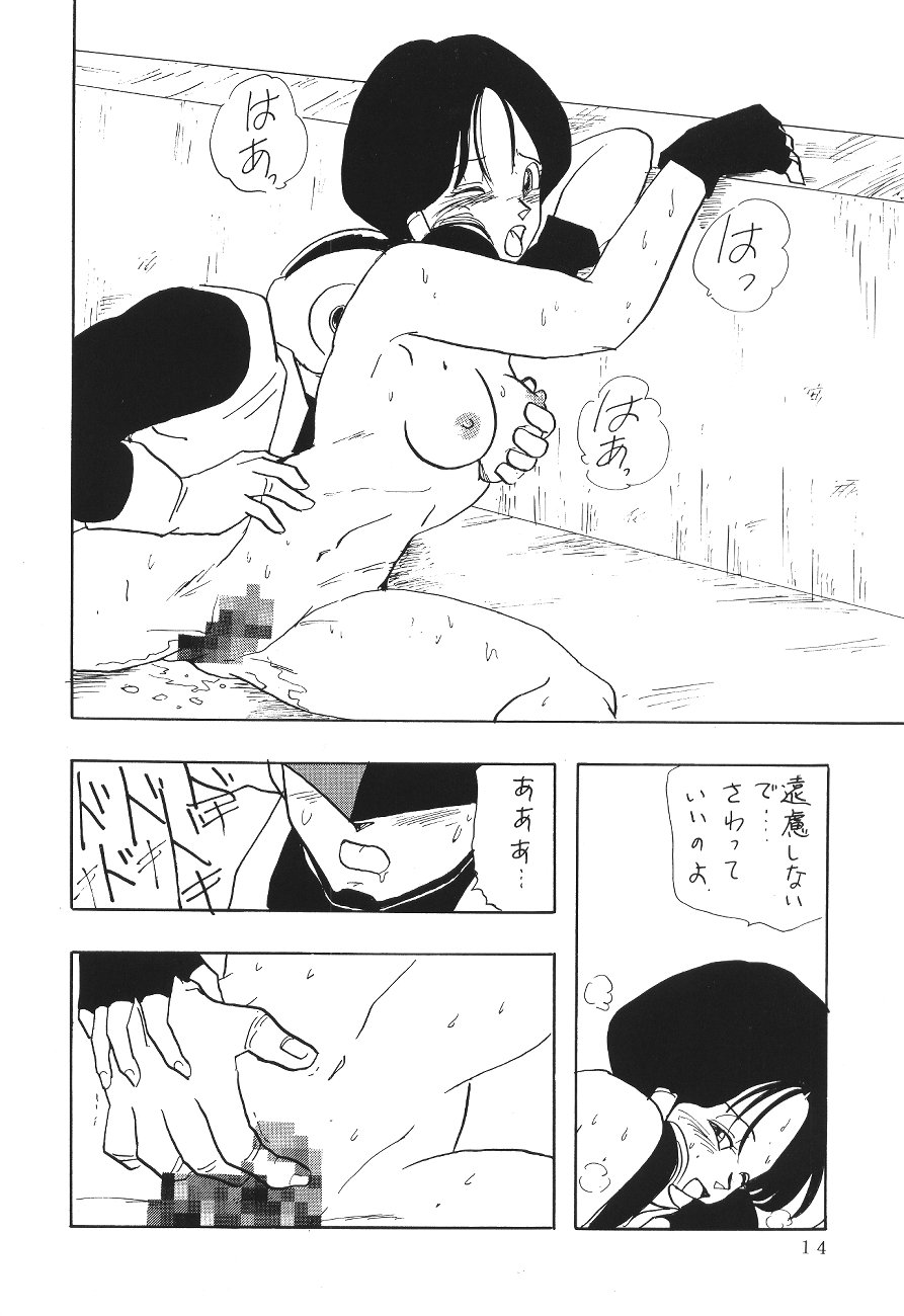 (C45) [Chirigami Goya, Fusuma go Ten (Shoji Hariko)] XXX (DRAGON BALL) page 13 full