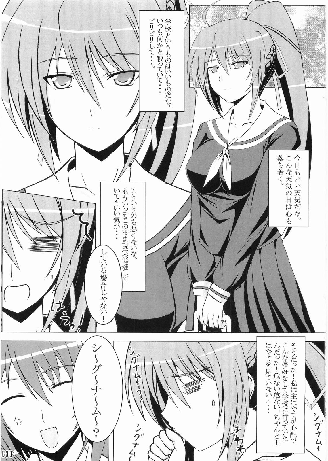 (C75) [Nezumitori (Kuronezumi)] Hayate-sama ga Goranshin! (Mahou Shoujo Lyrical Nanoha StrikerS) page 2 full