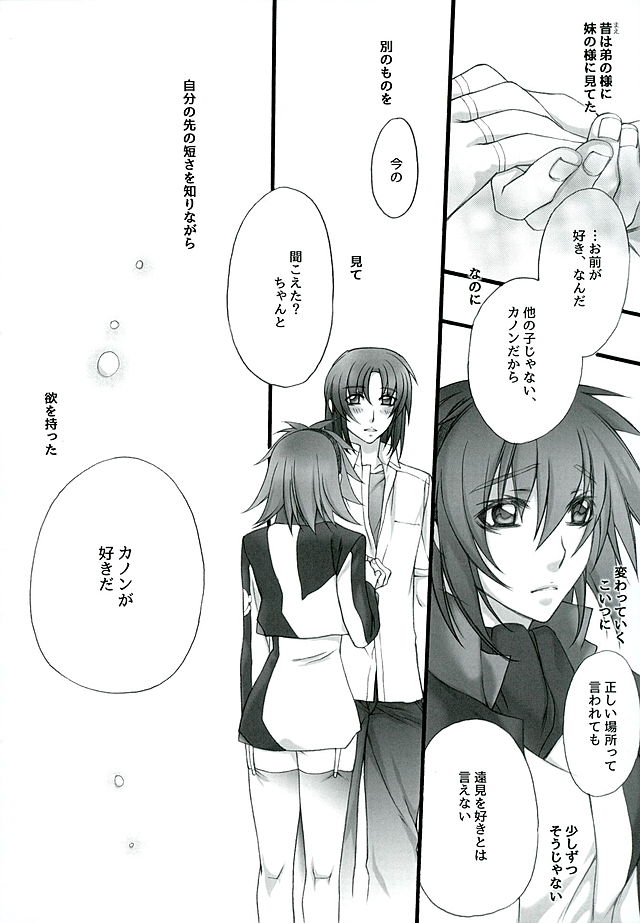(C89) [SEVENTH HEAVEN (Ishitomo Ren)] Ake no Tsuki (Soukyuu no Fafner) page 27 full