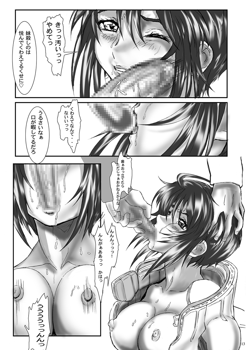 [Gthtrn] DISHIRO (Mobile Suit Gundam SEED Destiny) [Digital] page 12 full