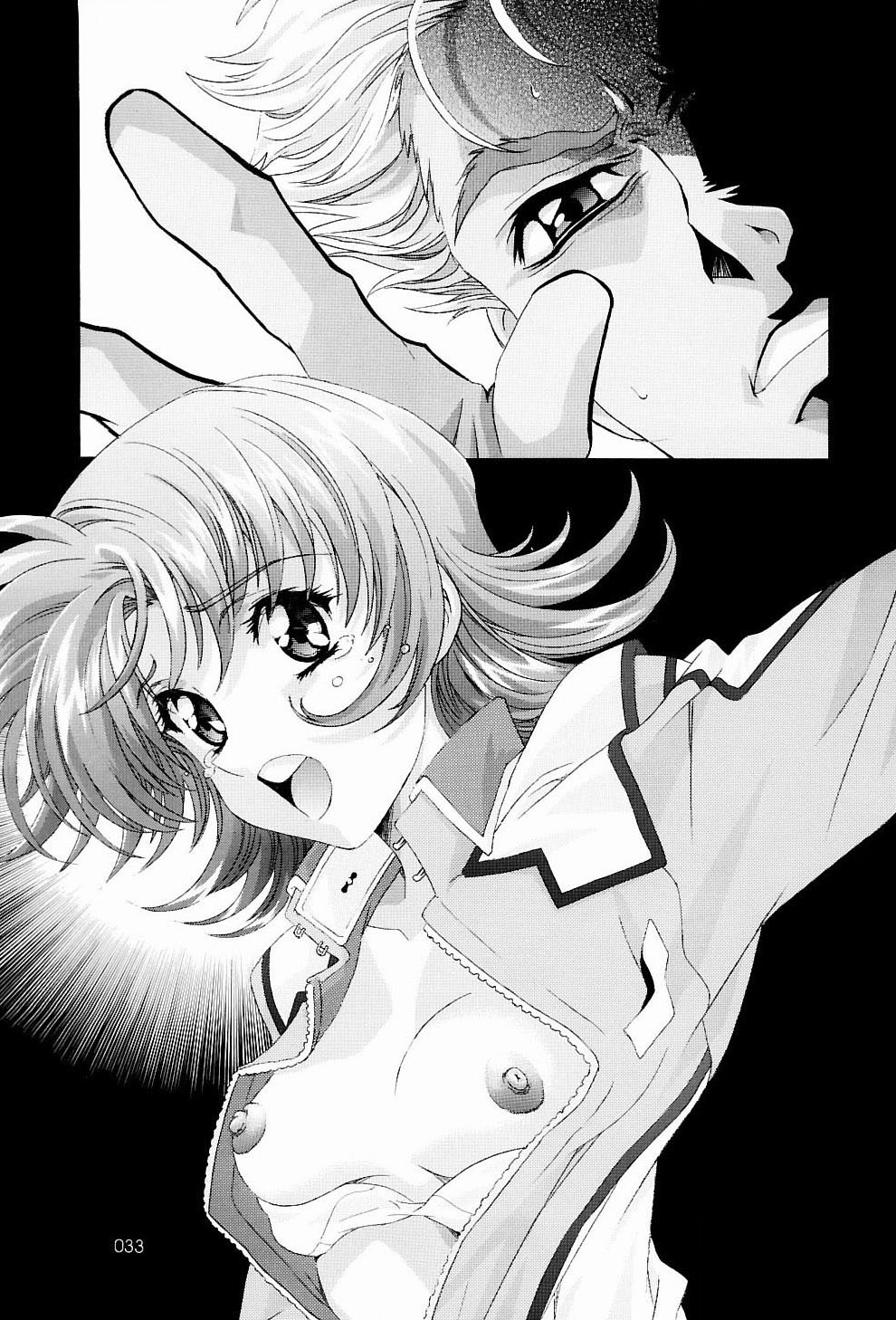 (C65)[Gensyokukan (Hakumai Gen) & Henrei-kai (Kawarajima Koh)] Gensyokukan Hatsu Hakumai Shido 2 RICE-SEED 2 (Kidou Senshi Gundam SEED) page 32 full