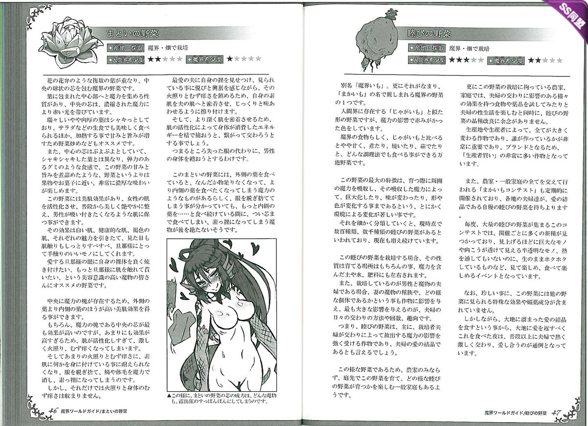 (C82) [Kurobinega (Kenkou Cross)] Mamono Musume Zukan World Guide II - Makai Shizen Kikou page 27 full