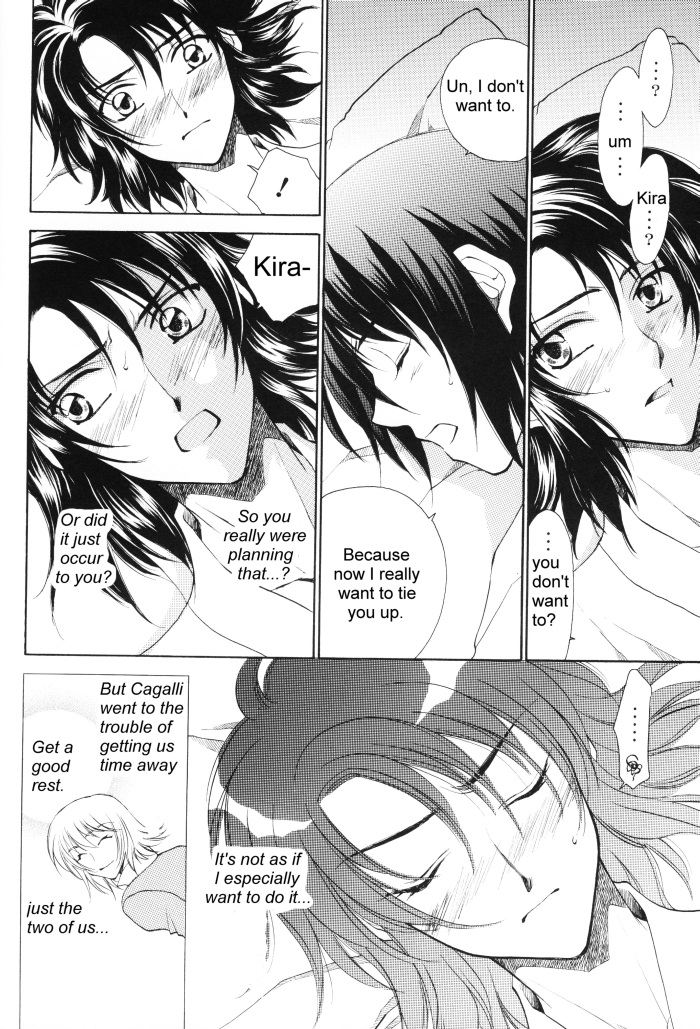 [Yougekishu (Arina Toshimi)] sweet honey moon (Gundam SEED DESTINY) [English] [Arigatomina] page 11 full