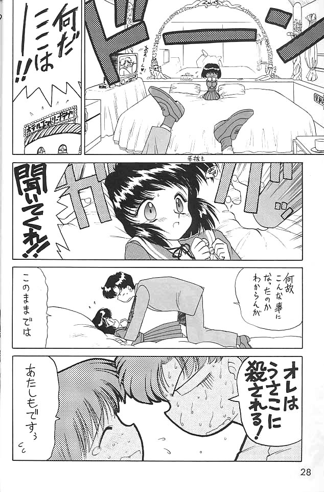 (C58) [BLACK DOG (Kuroinu Juu)] GOLD EXPERIENCE (Bishoujo Senshi Sailor Moon) page 27 full