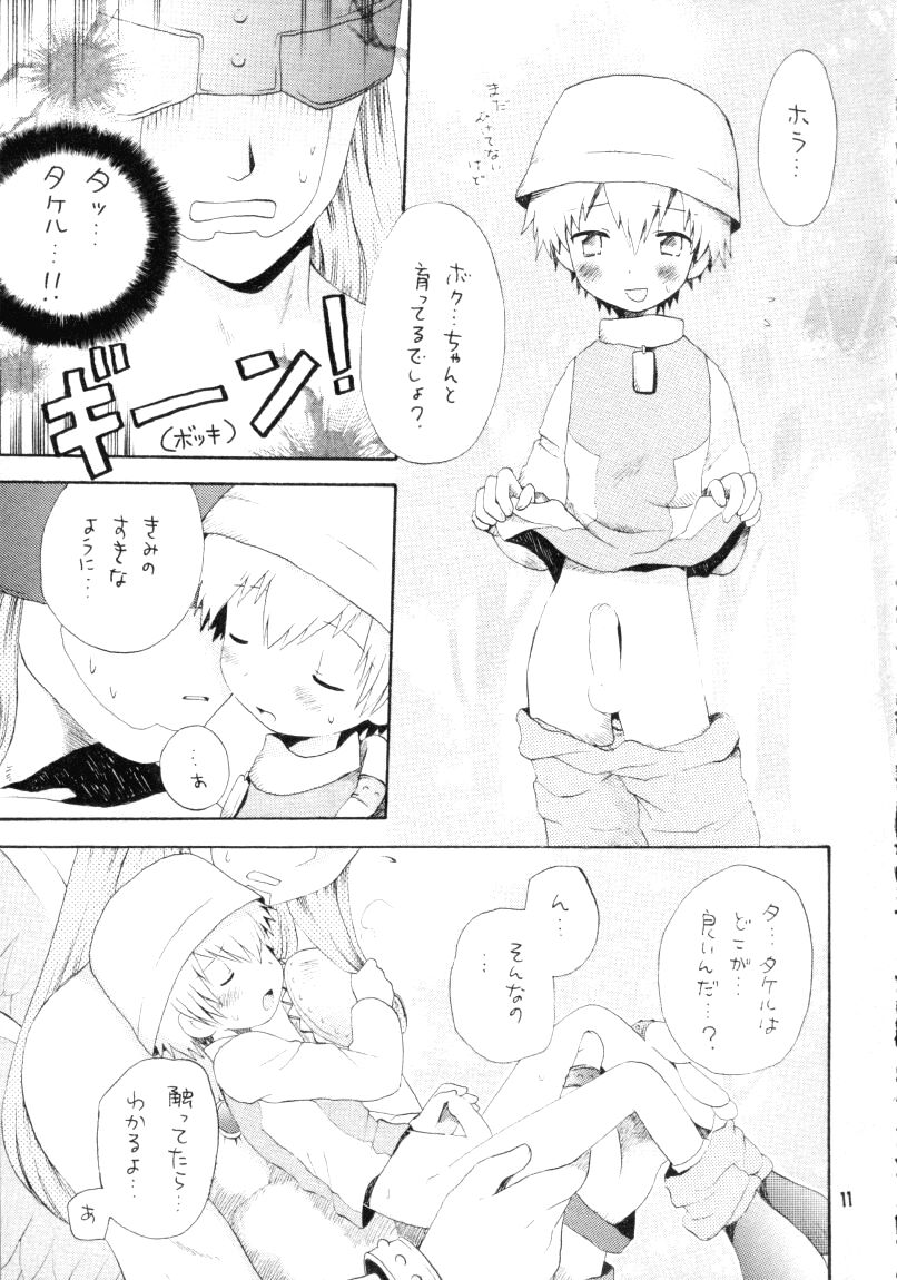 (CCTokyo96) [Haniwa Mania, Kuruguru DNA (Pon Takahanada, Hoshiai Hiro)] Bokura No Jogress World (Digimon Adventure 02) page 11 full