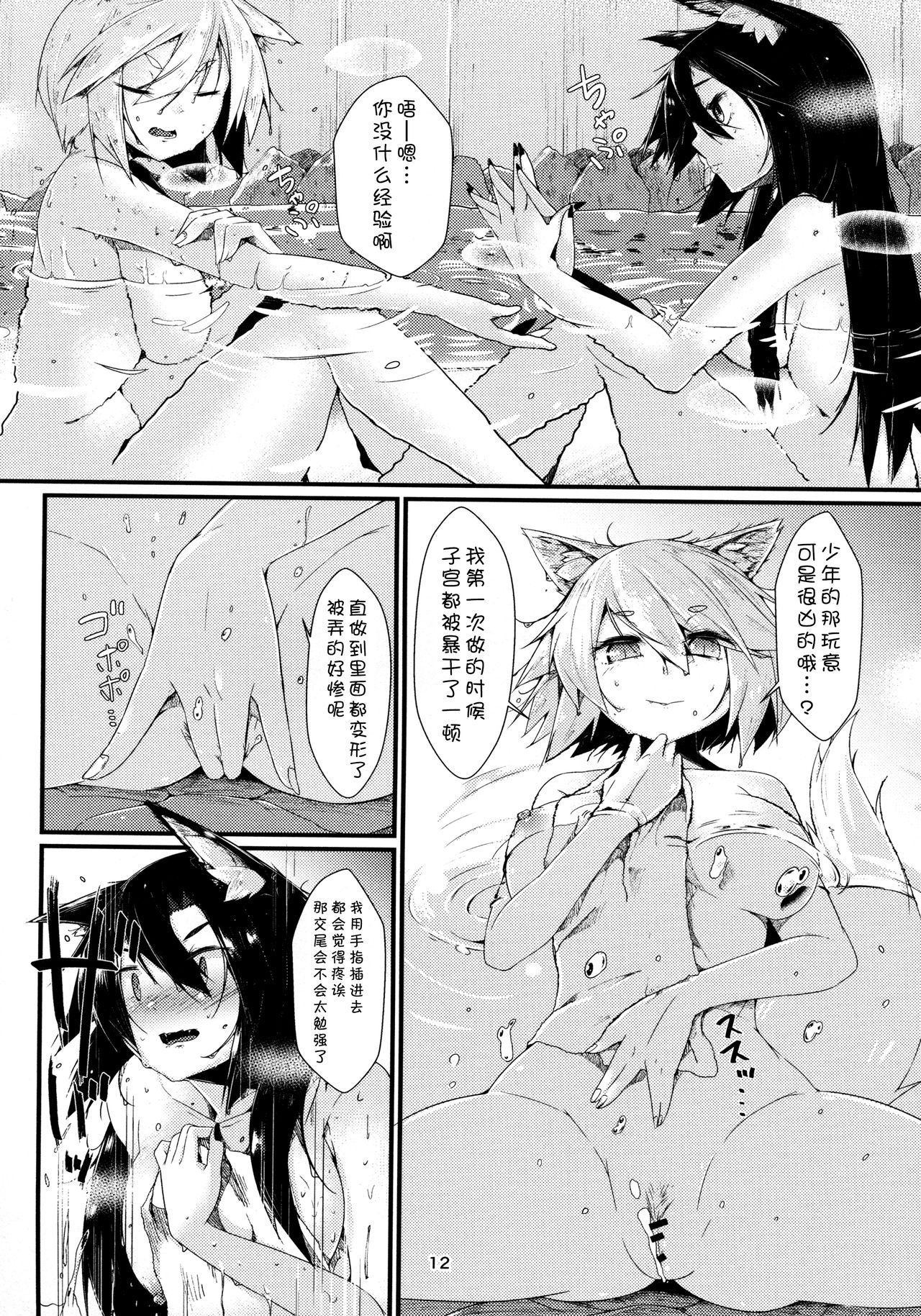 (Reitaisai 14) [Nanika no Heya (Hira)] Inu no Onee-chan no Hatsujou Nihikime (Touhou Project)[chinese][狗东西汉化组] page 12 full