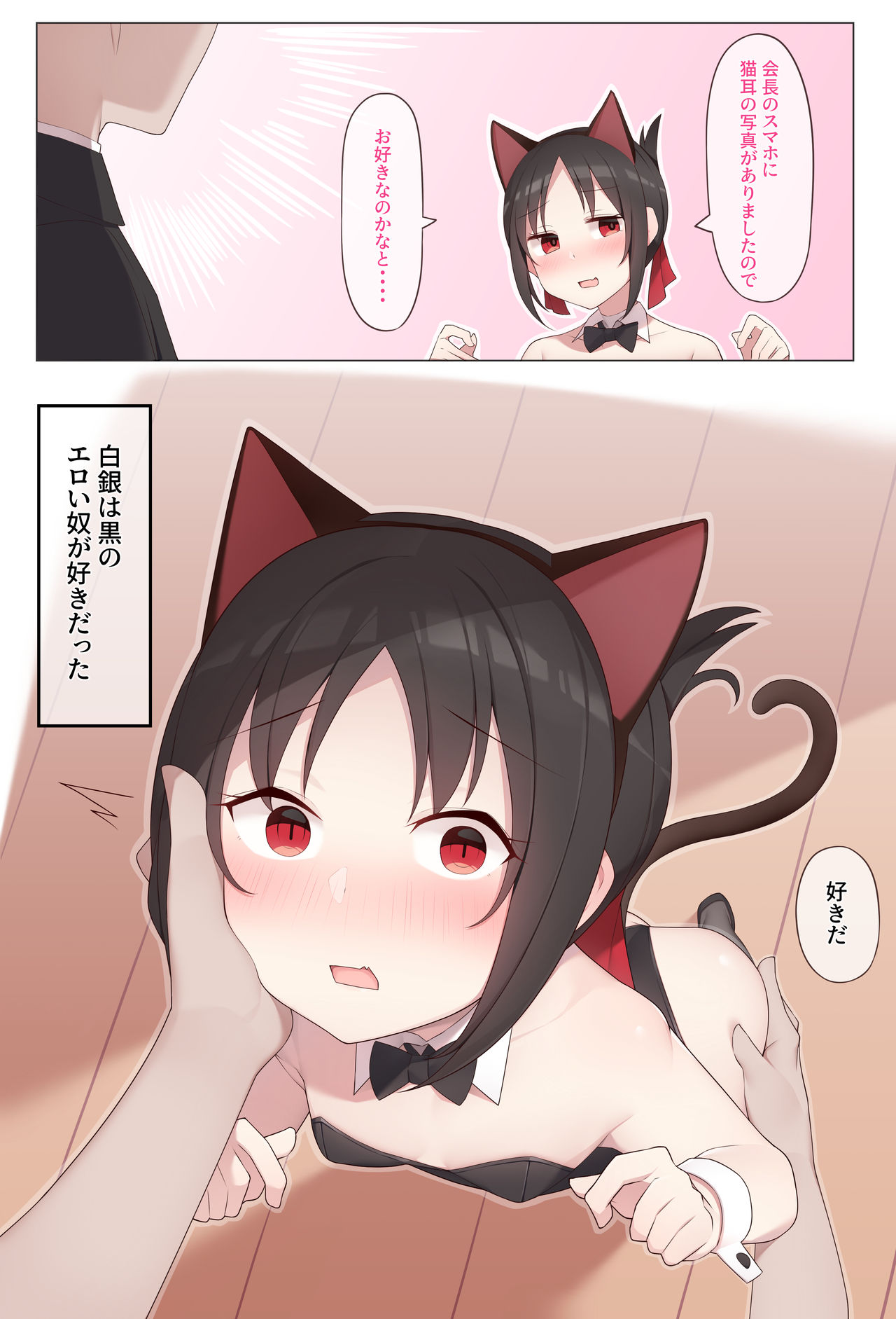[Alapi] Nekomimi no Kaguya-sama (Kaguya-sama wa Kokurasetai) page 1 full