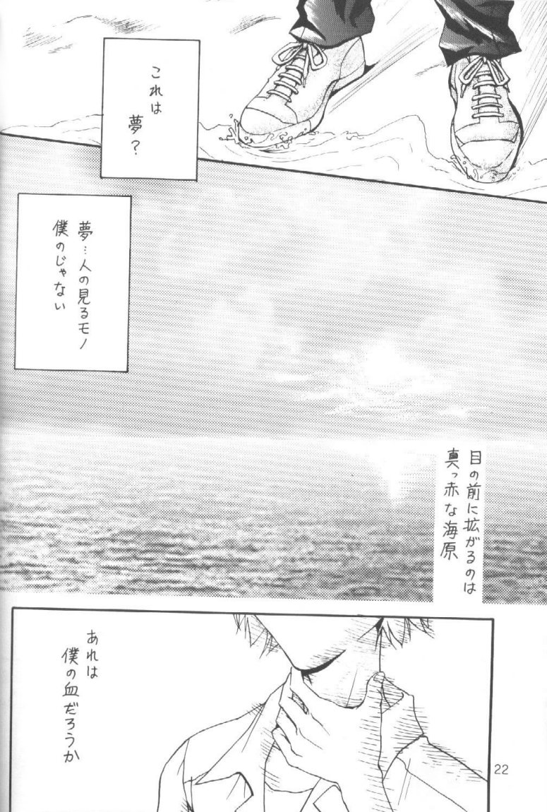 (C51) [Ambivalence (Kana + Tonari No Roto)] Kinjirareta Asobi Romanze D'Amor (Neon Genesis Evangelion) page 21 full