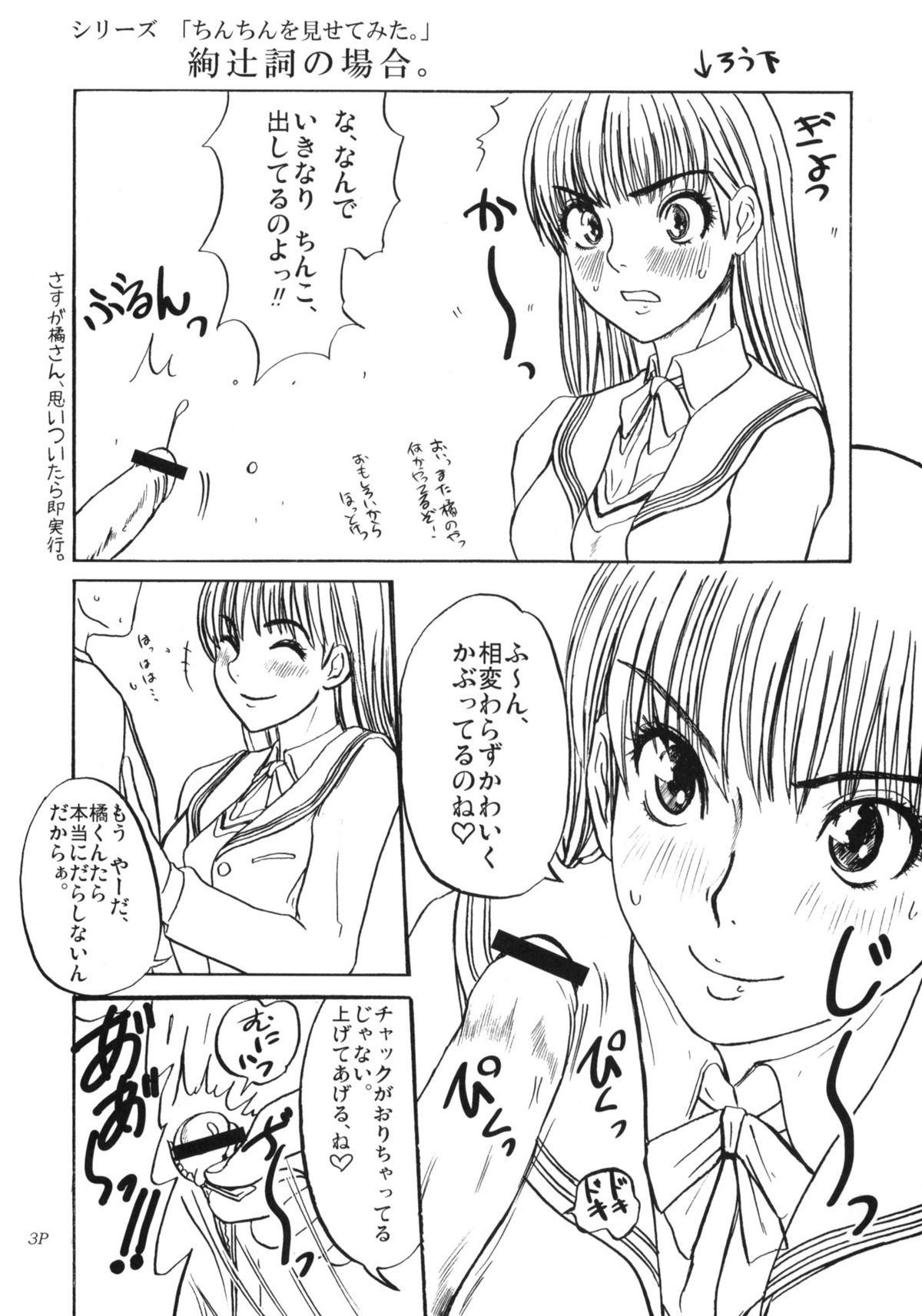 (C76) [Sekai Kakumei Club] Zukai Jyouzuna Mesubuta no Kaikata (Amagami) page 4 full