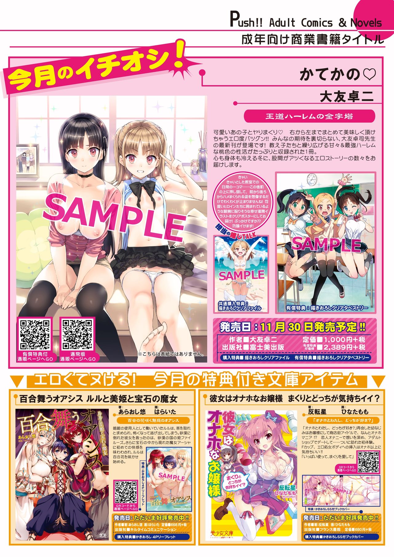 月刊めろメロ2015年12月号 page 17 full