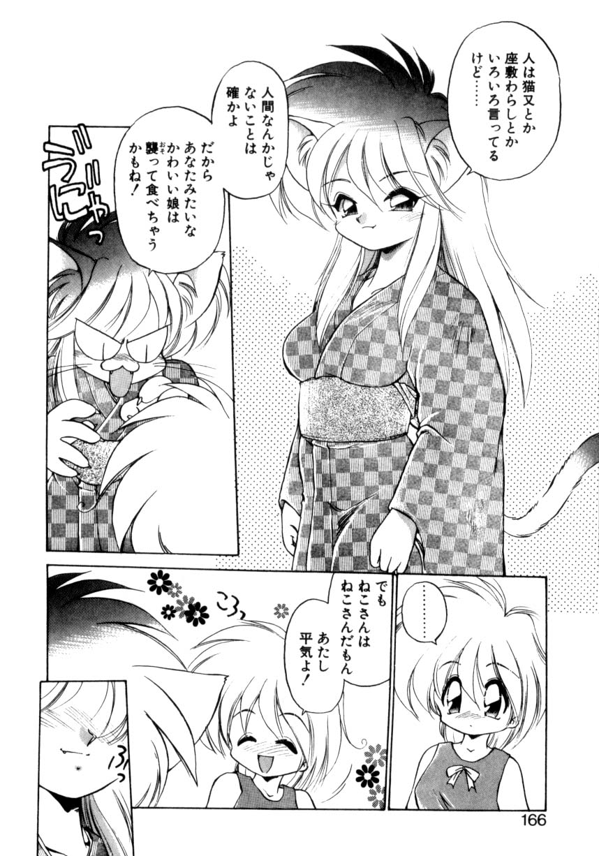 [Ebi Fly] Mainichi ga Wonderland page 161 full