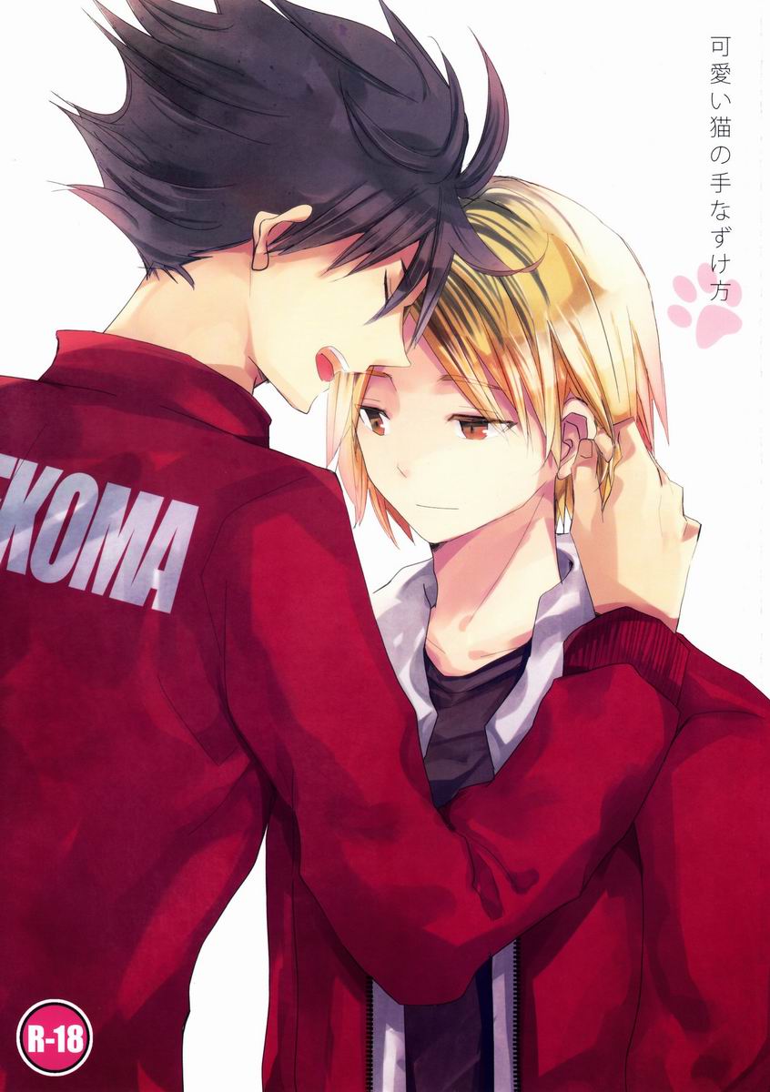 (IDLING ATTACKER) [Octo (Hachi)] Kawaii Neko no Tenazukekata (Haikyuu!!) page 1 full