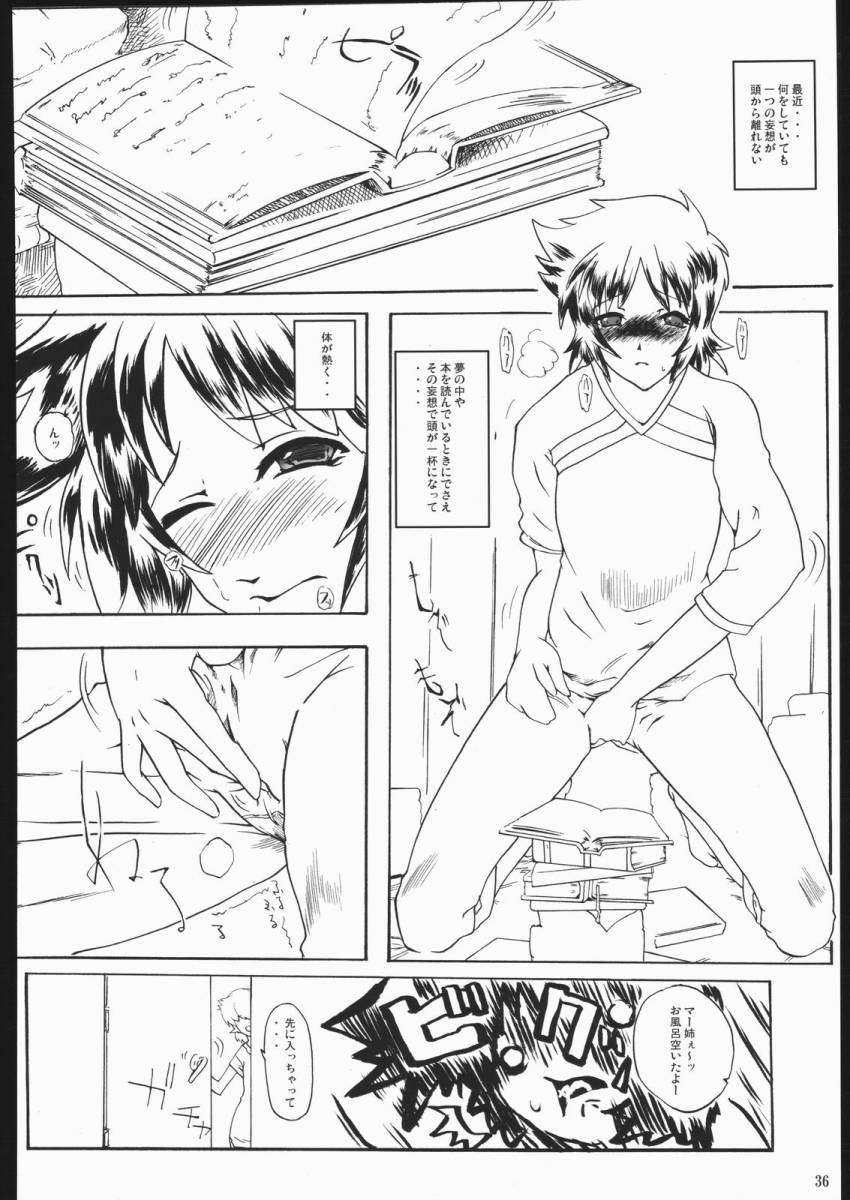 (CR37) [Nippon Teikoku Toshokan (Hanpera, Kiya Shii, Ys-R)] Internal ERROR (Read or Die) page 35 full