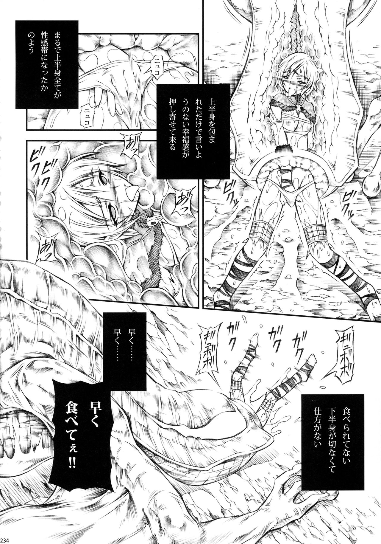 (C90) [Yokohama Junky (Makari Tohru)] Solo Hunter-tachi no Seitai (Monster Hunter) page 234 full