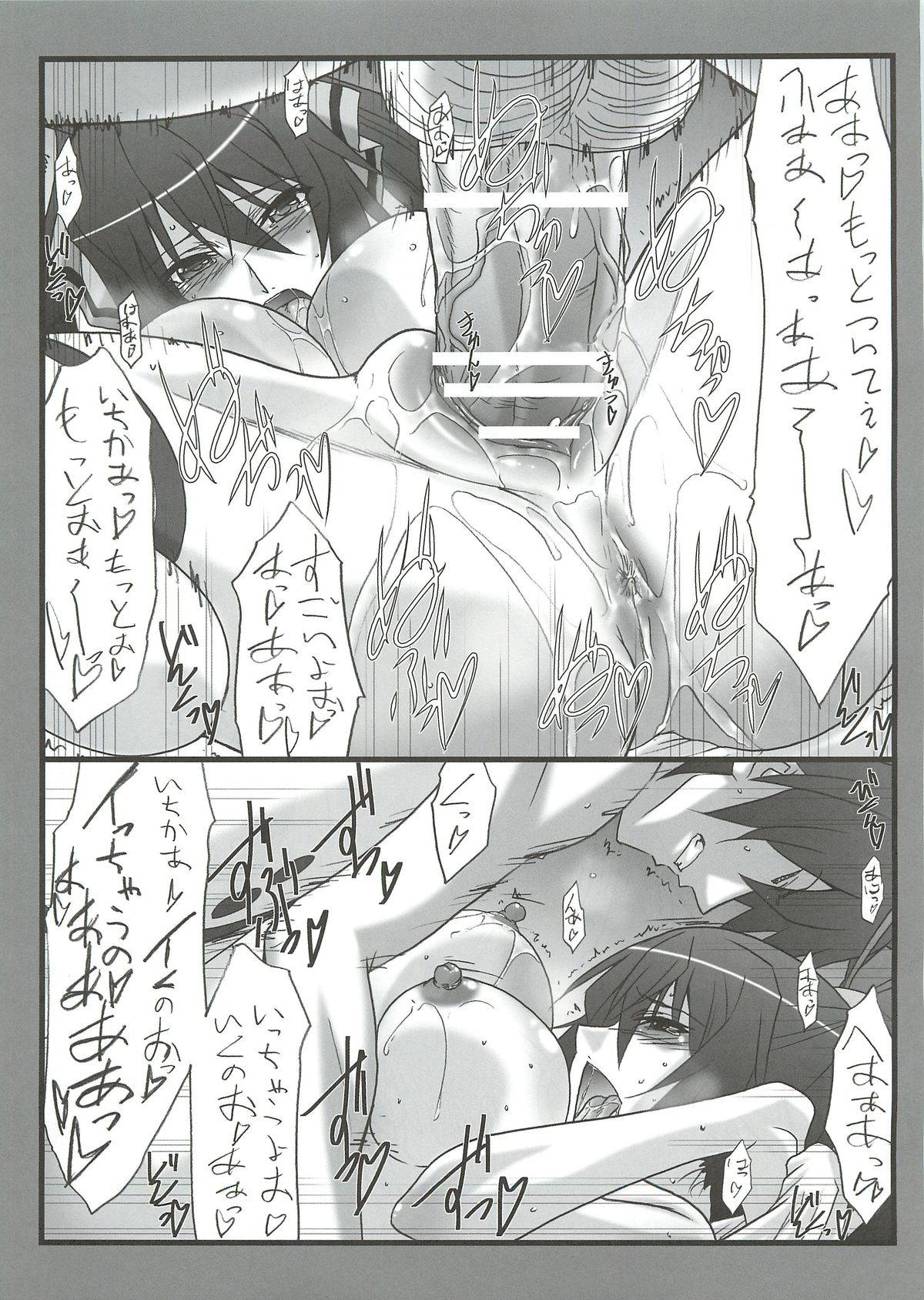 (C81) [STUDIO TRIUMPH (Mutou Keiji)] Astral Bout Ver.22 (Infinite Stratos) page 15 full