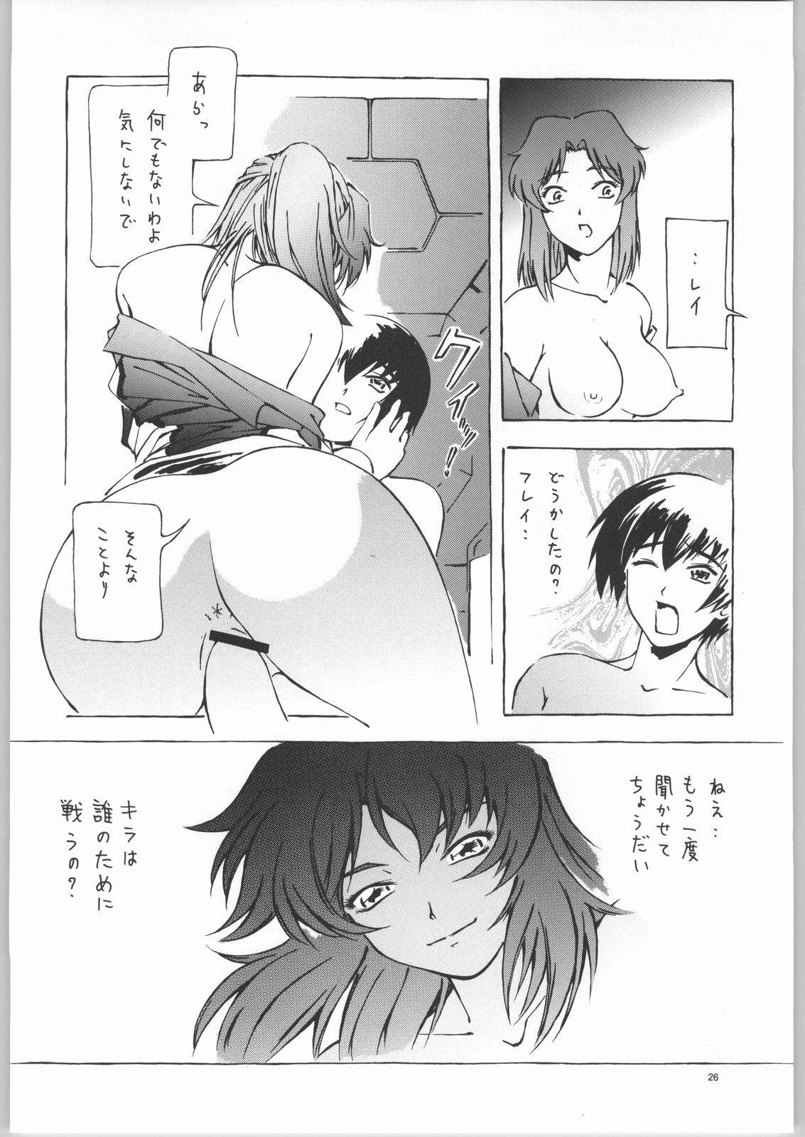 (C66) [Dish up (Warabi Yuuzou)] Kekkan Dam Dam A (Gundam Seed) page 25 full