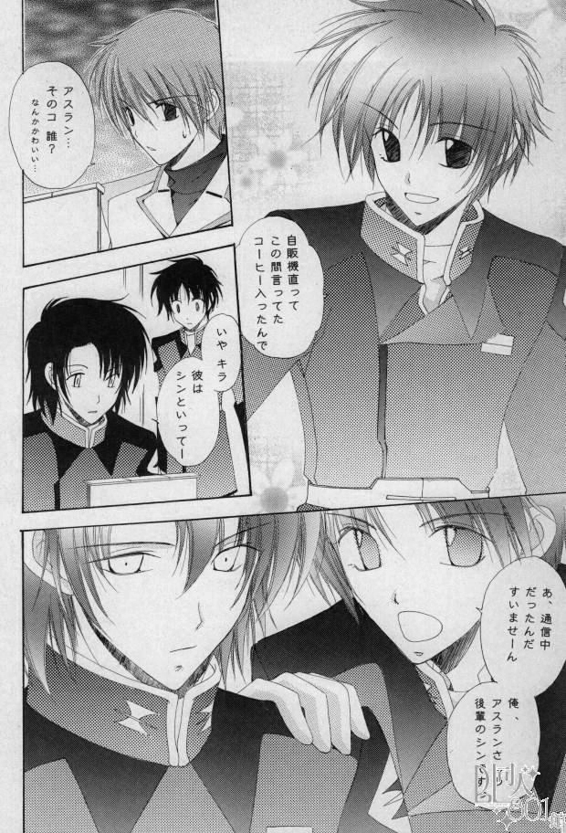 [Mutsuharu (Kagami Haruki)] Love Scramble (Gundam SEED DESTINY) page 5 full