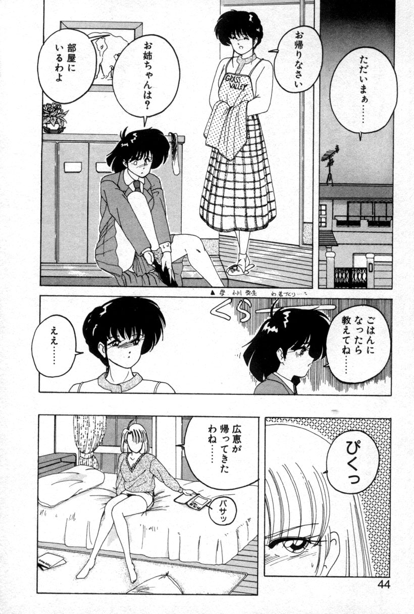 [Wanyanaguda] Nageki no Kenkou Yuuryouji 1 (reprint) page 41 full