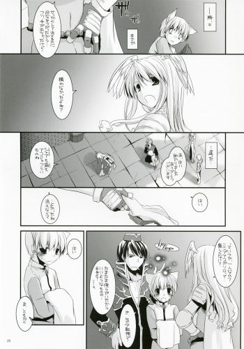 (C73) [Digital Lover (Nakajima Yuka)] D.L. Action 41 (Ragnarok Online) - page 24