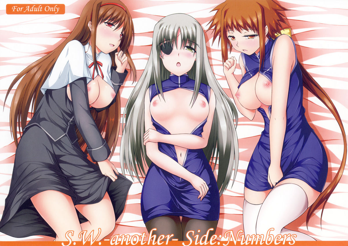 (COMIC1☆4) [ArcS (Sakura Yuu)] S.W.-another- Side:Numbers (Mahou Shoujo Lyrical Nanoha) page 1 full