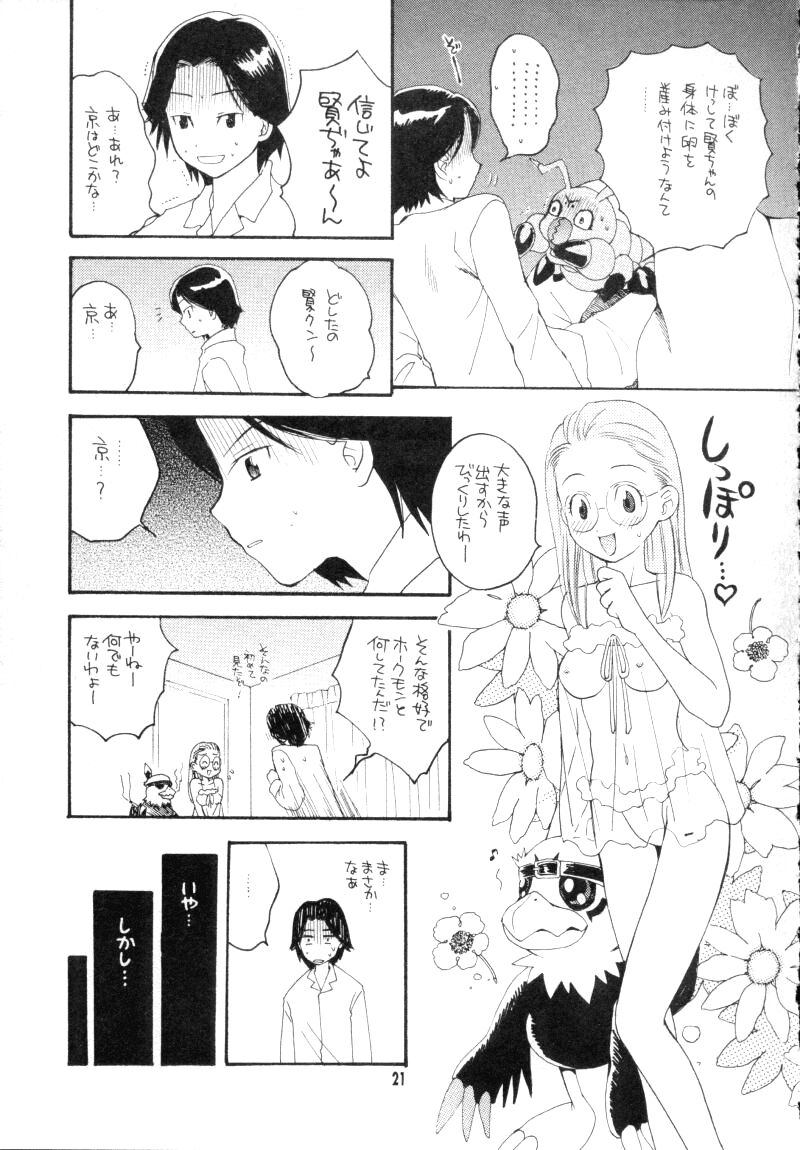 (CCTokyo96) [Haniwa Mania, Kuruguru DNA (Pon Takahanada, Hoshiai Hiro)] Bokura No Jogress World (Digimon Adventure 02) page 21 full