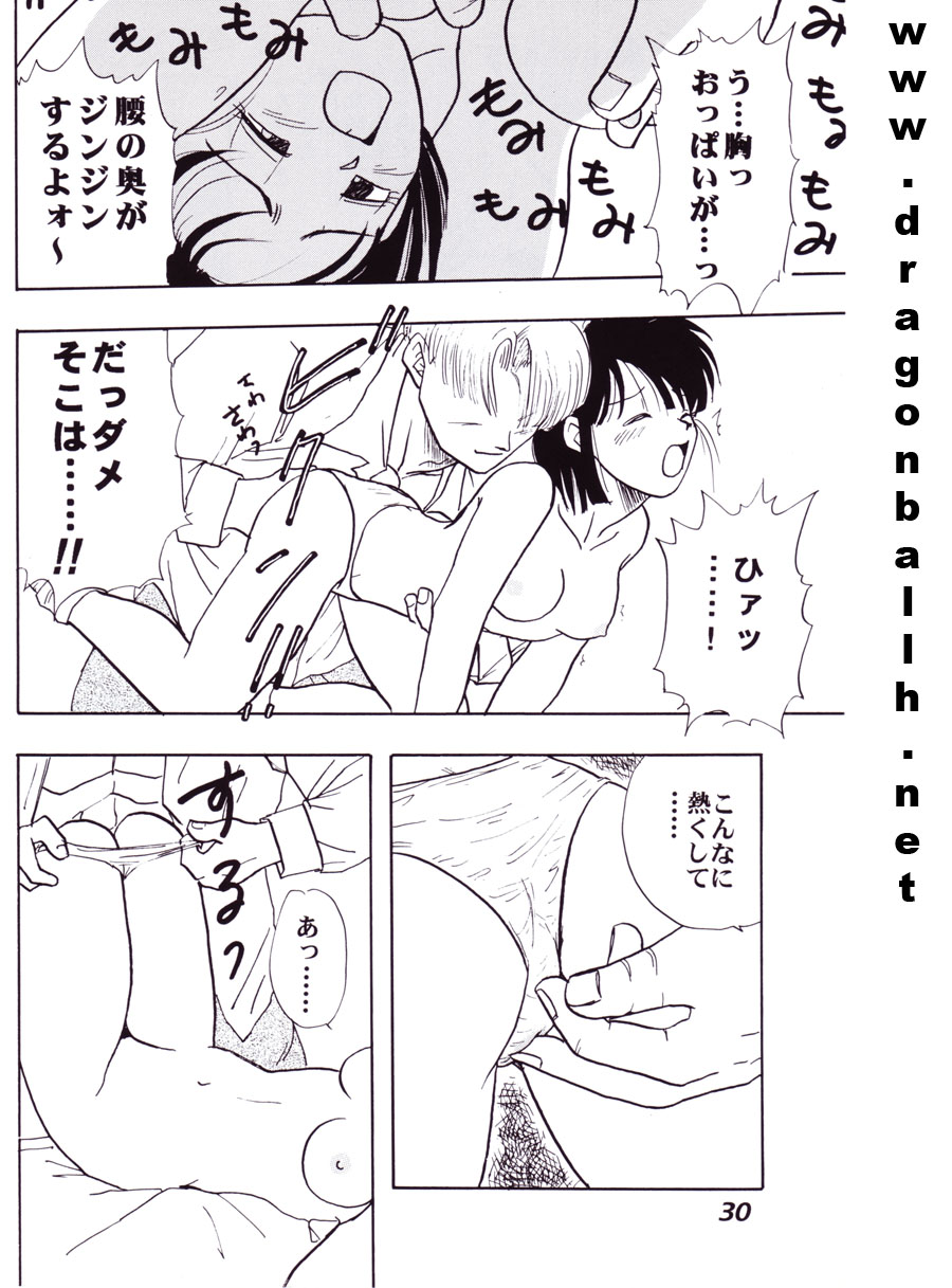 (C52) [Fusuma Goten (Shouji Hariko)] Irohani (Dragonball Z) page 30 full