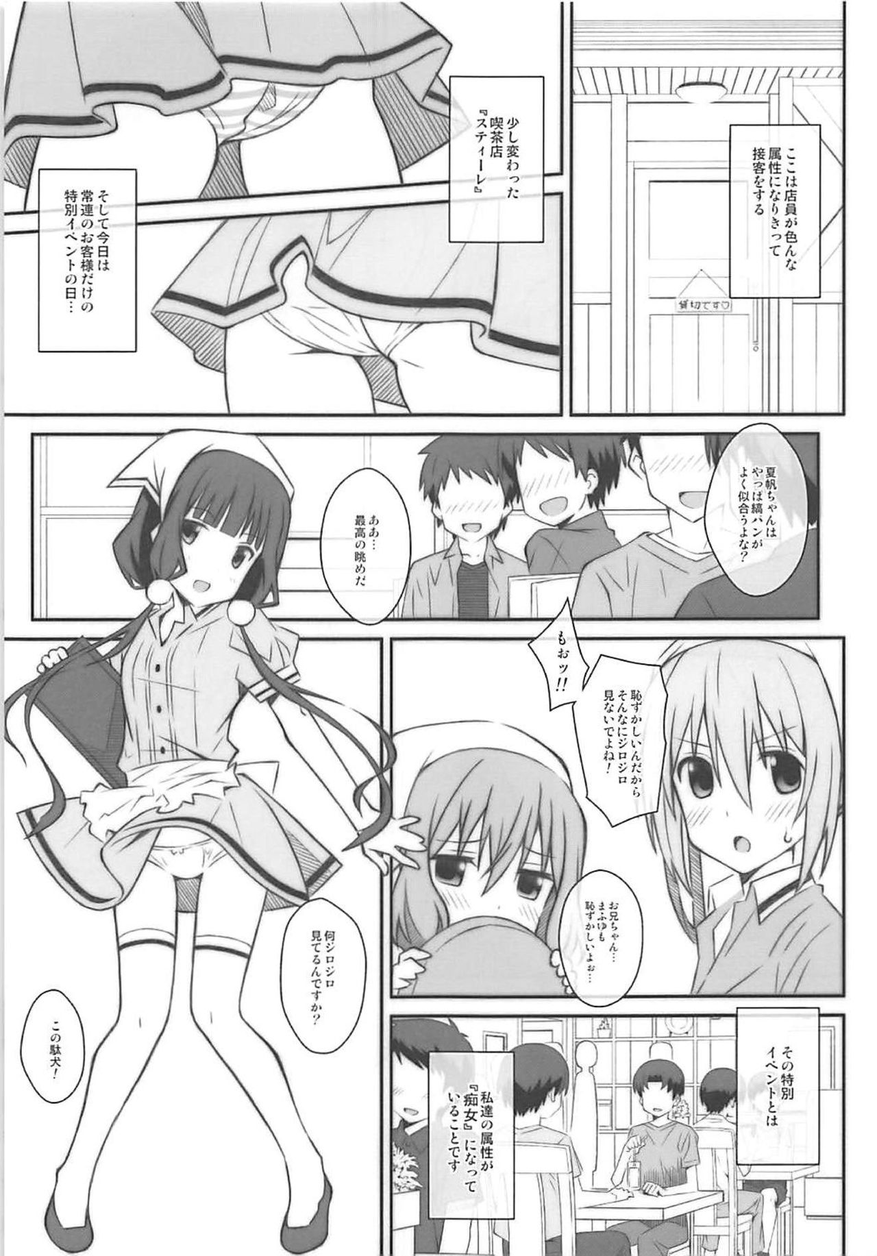 [TYPE-57 (Frunbell)] TYPE-49 (Blend S) page 2 full