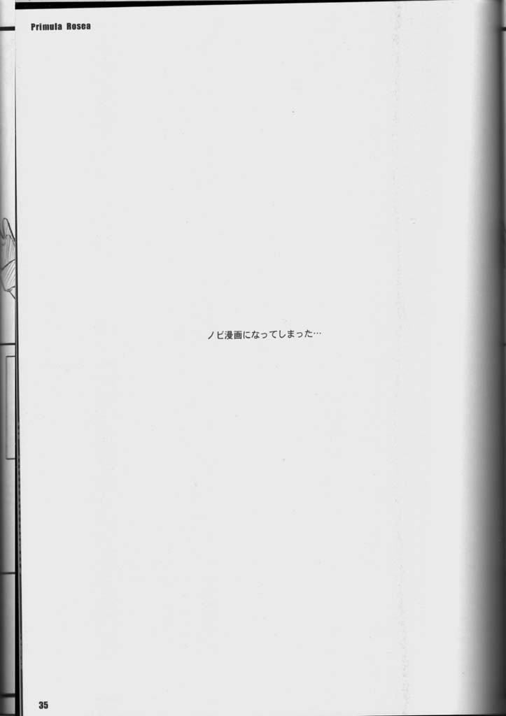 (C65) [Yakan Hikou (Inoue Tommy)] PRIMULA Rosea (Ragnarok Online) page 34 full