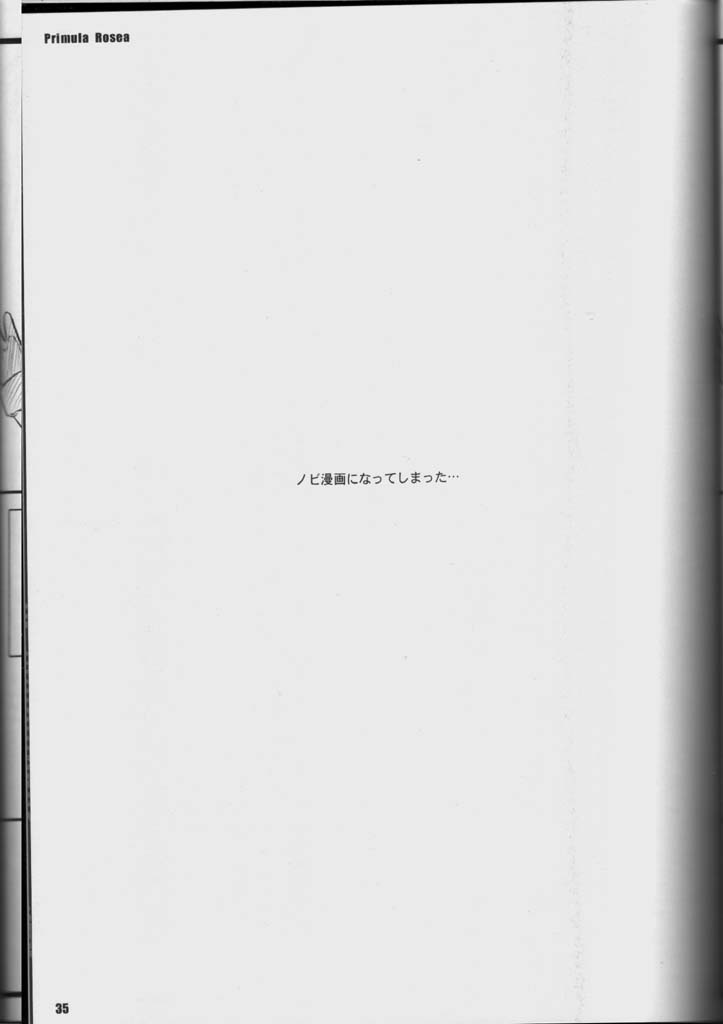 (C65) [Yakan Hikou (Inoue Tommy)] PRIMULA Rosea (Ragnarok Online) page 34 full