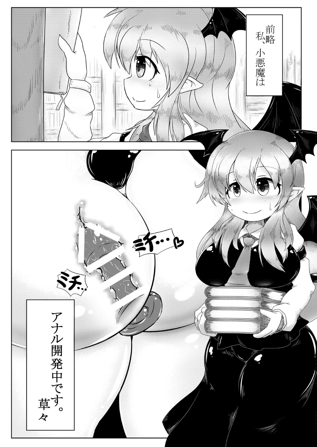 [Daishizen Juukou (Ashita)] Kyokina ana no Koakuma-san (Touhou Project) [Digital] page 3 full