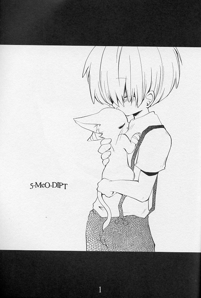 5-MeO-D  [Morphine] page 3 full