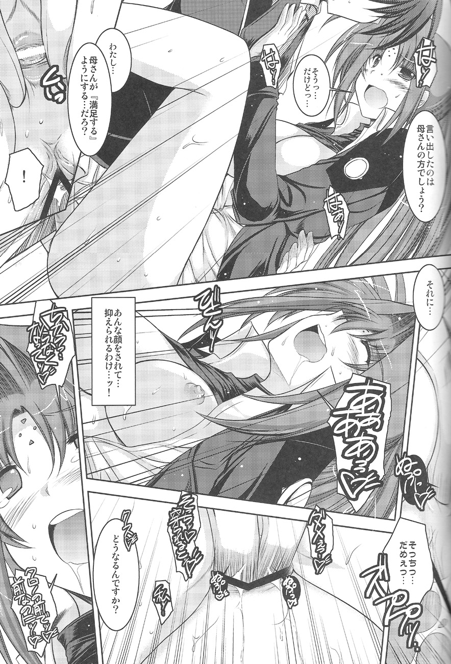 (C74) [ELHEART'S (Ibuki Pon)] ANOTHER FRONTIER 02 Mahou Shoujo Lyrical Lindy san #03 (Mahou Shoujo Lyrical Nanoha) page 23 full