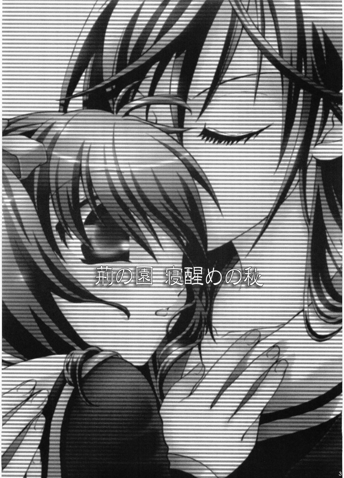 (C66) [Ginbou (Shirogane Seiji)] Ibara no Sono Nezame no Hime (Maria-sama ga Miteru) page 2 full
